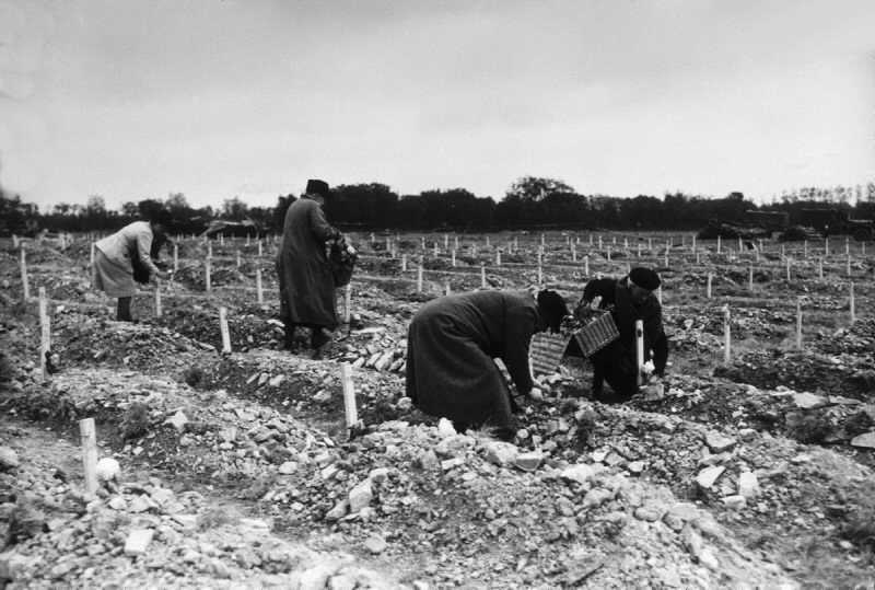 Ste. Mere Eglise (Pg. 12)